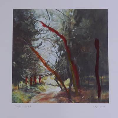 גורא שרית 35x35