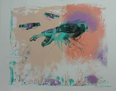 עודד פיינגרש 55x75