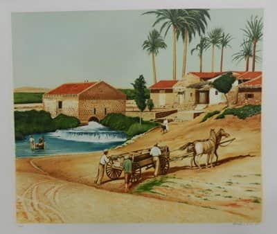 רחל טימור70x60